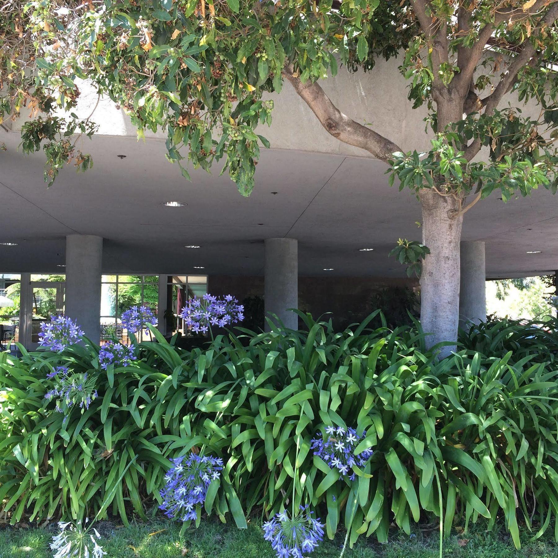 Cupertino Hotel Cupertino